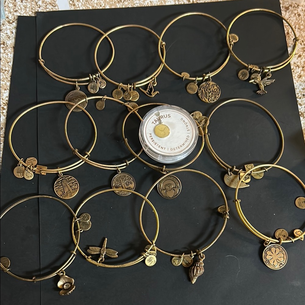 Alex and Ani Charm Bracelets Set
